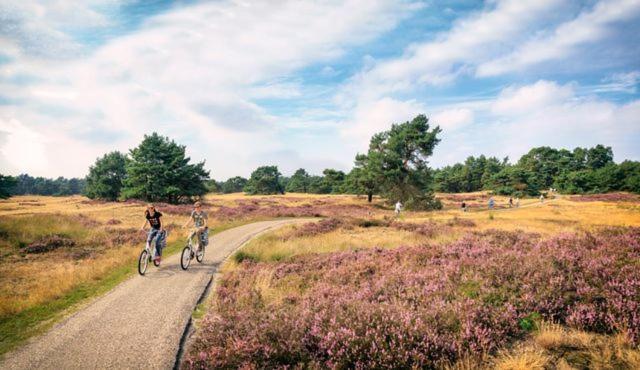 Sfeervol Chalet Op De Veluwe Putten Zewnętrze zdjęcie