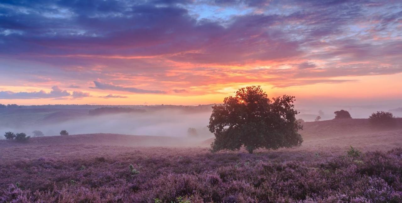 Sfeervol Chalet Op De Veluwe Putten Zewnętrze zdjęcie